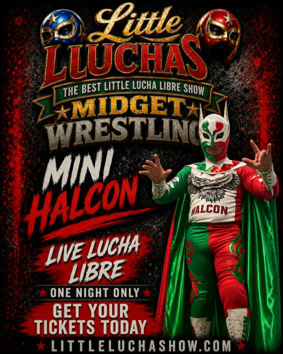Mini Halcon Mini Halcon